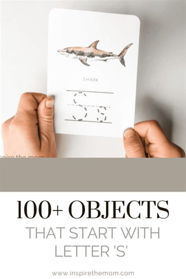 200+ Objects That Starts With S