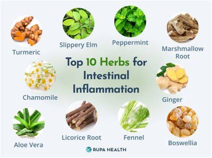 African Herb Fixed My Chronic Stomach Pains Like Magic- Meek Mill