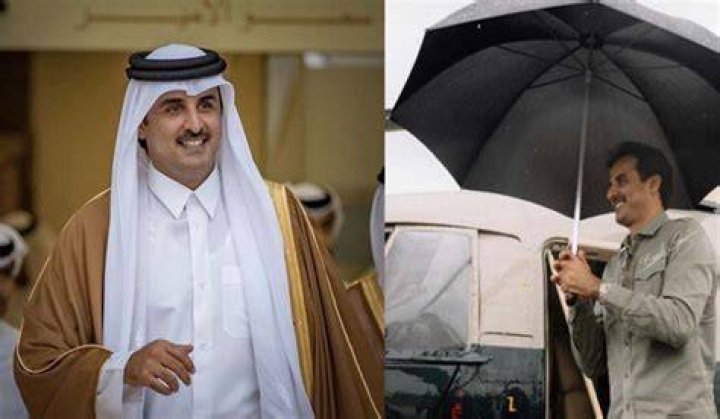 All You Need to Know About Sheikh Tamim bin Hamad bin Khalifa Al Thani: Emir of Qatar