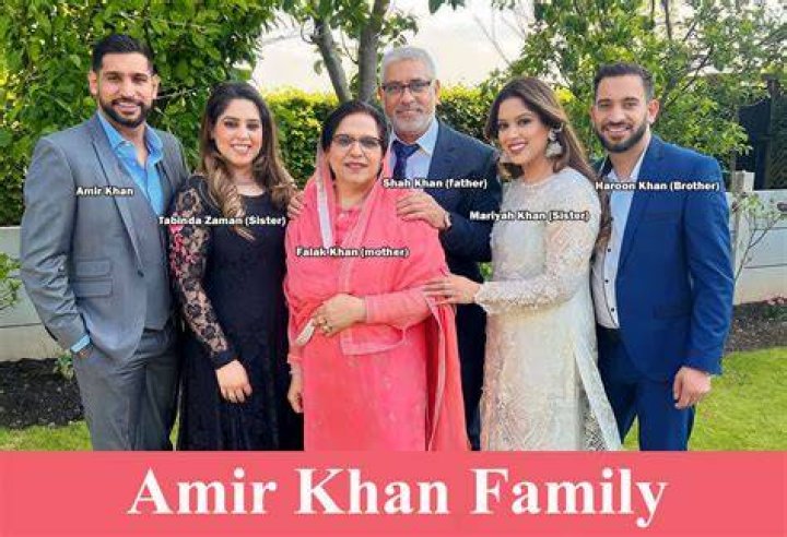 Bigg Boss 5 Amir, Age, Wife, Family, Net Worth & More