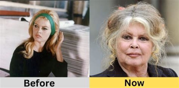 Brigitte Bardot Net Worth: Is Brigitte Bardot rich?