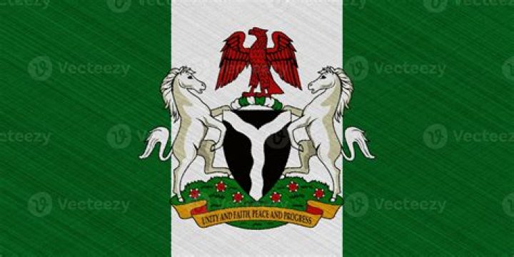 Check Out How The Nigerian Flag Looked Like Before Independence And Why It Was Changed