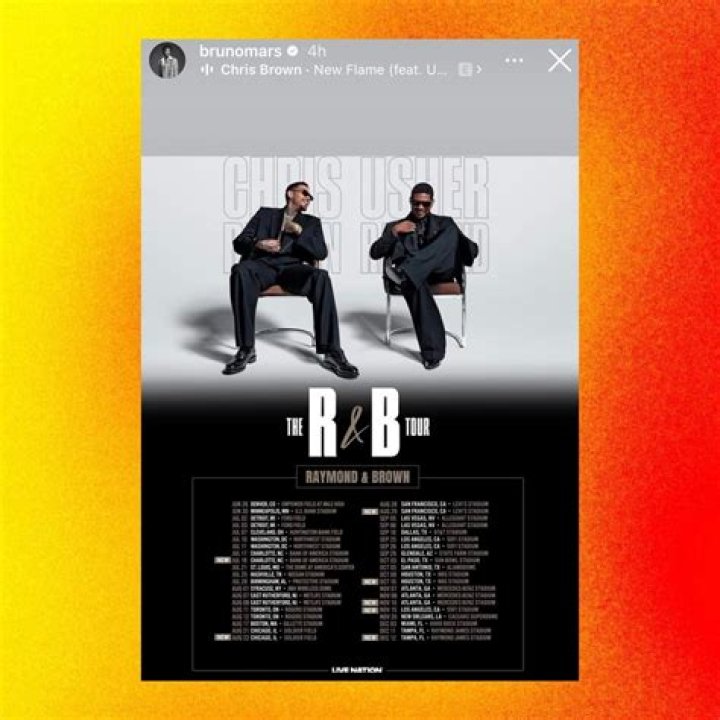 Chris Brown Reposts Joey Akan’s Appreciation Post On His Instagram Story