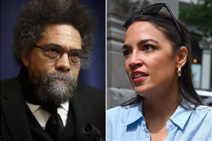 Cornel West Wife: Meet Annahita Mahdiva