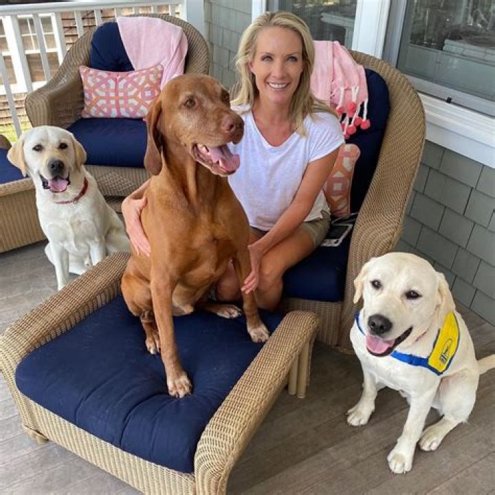 Dana Perino Children: Does Dana Perino Have Children?