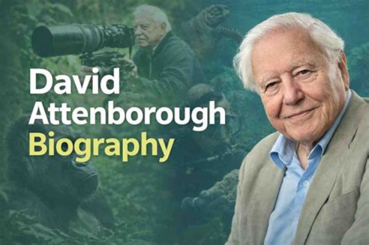 David Attenborough Net Worth: How Much Is David Attenborough Worth?