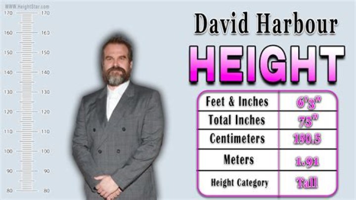 David Harbour Height: How Tall Is David Harbour?