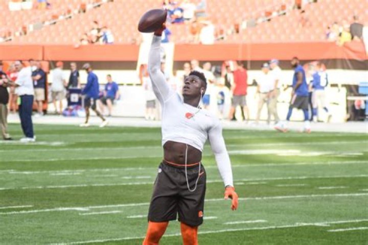 David Njoku Height: How Tall Is David Njoku?