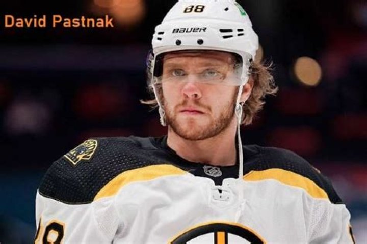 David Pastrňák Bio, Age, Net Worth, Career, Parents, Partner, Children
