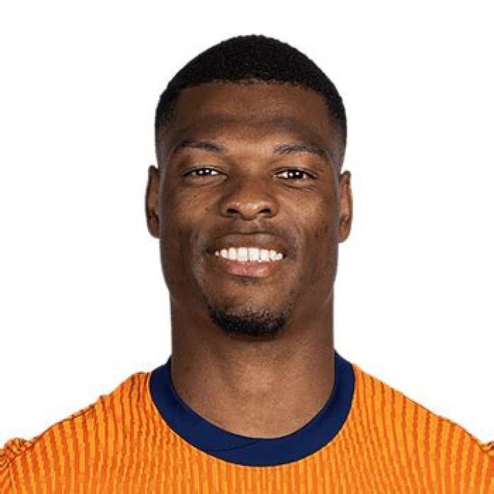 Denzel Dumfries-Bio, Net Worth, Family, Career