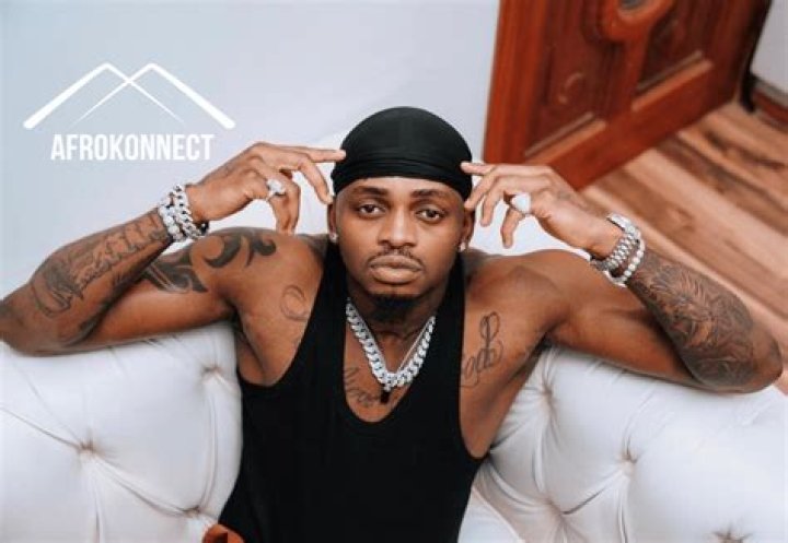 Diamond Platnumz Net Worth 2023