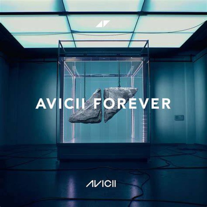 Discover Avicii Top Songs and Awards
