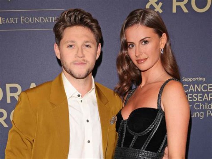 Does Niall Horan Have A New Girlfriend After Split From Hailee Steinfeld?