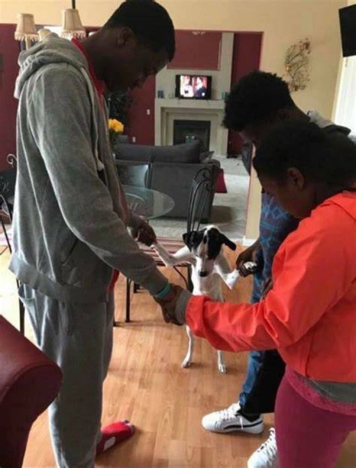 Dogs ‘Praying’ Before Their Meals Amazes Twitter Users (VIDEO)