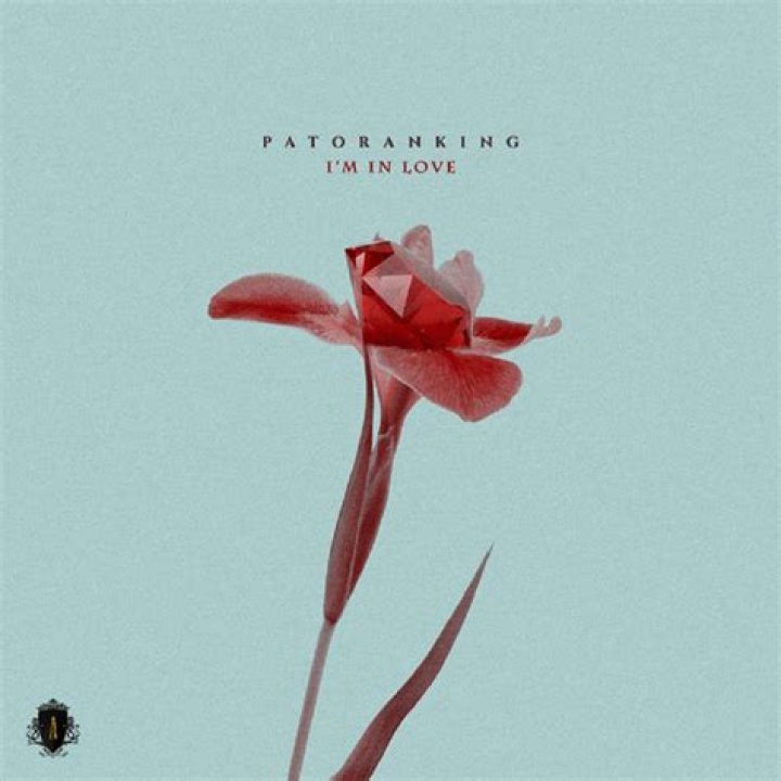 DOWNLOAD: Patoranking – I’m In Love