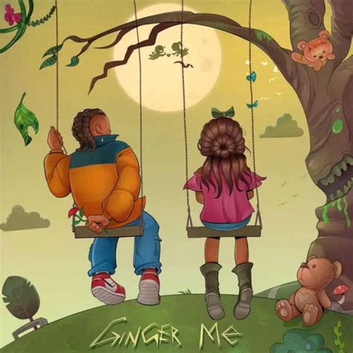 DOWNLOAD: Rema – Ginger Me