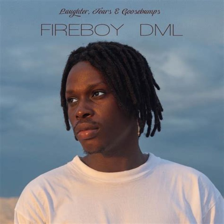 Fireboy DML