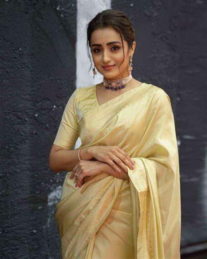 Get To Know Trisha Krishnan: Biography, Age, Career, Net Worth, Height, Relationship & More