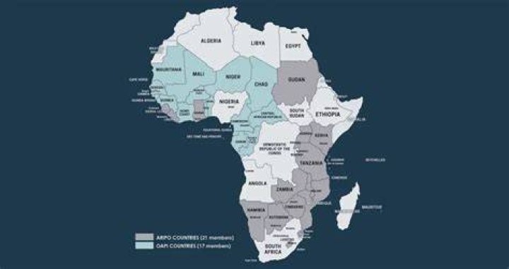 Ghana Named Among The Top 10 African Countries Where Doctors Receive High Salaries