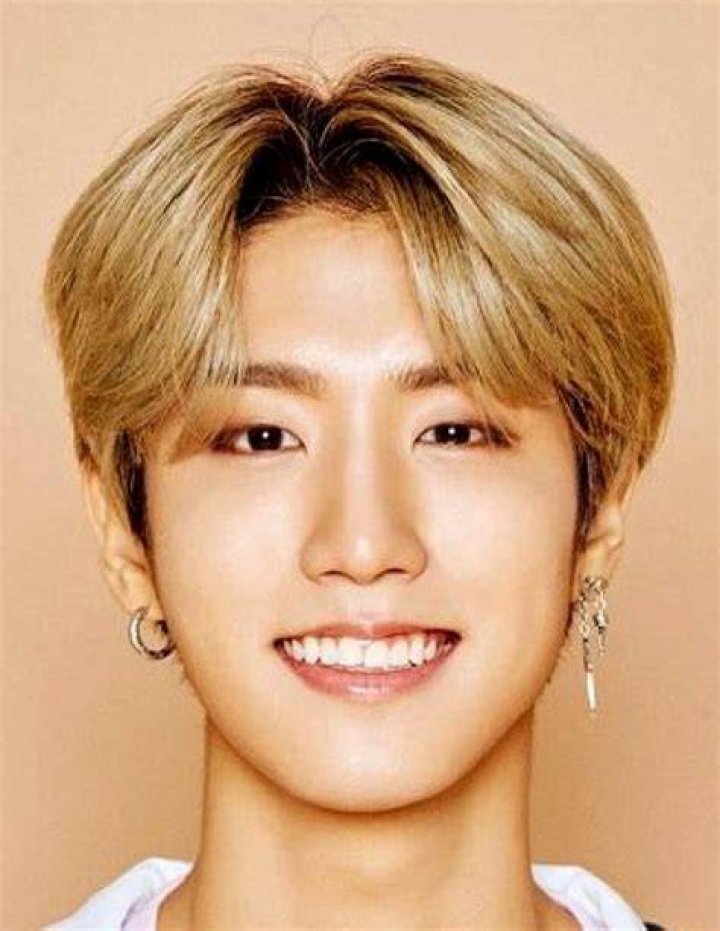 Han Jisung Biography, Age, Career, Net Worth, Family