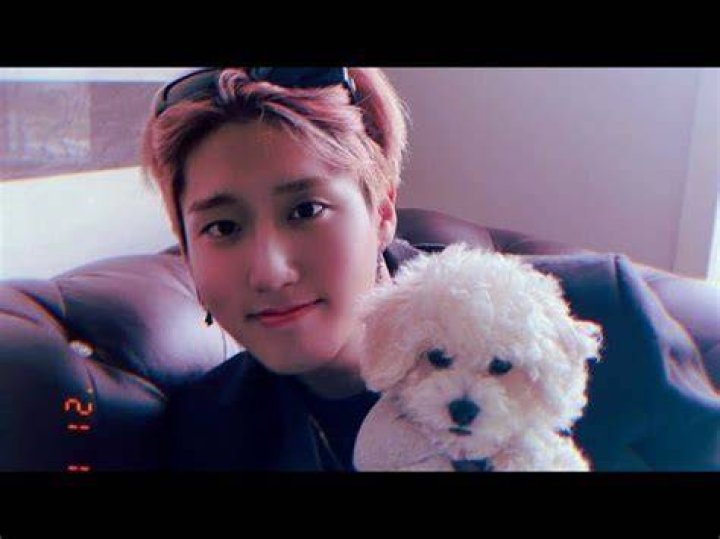 Han Jisung Children: Does Han Jisung Have Any Children?