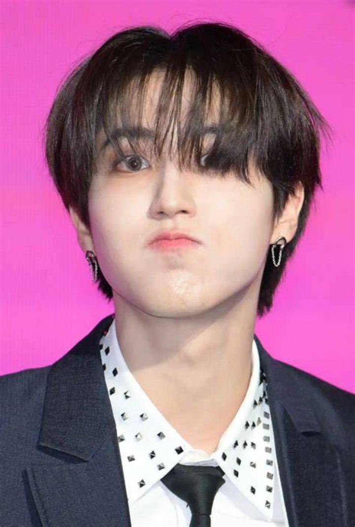 Han Jisung Height: How Tall Is Han Jisung?