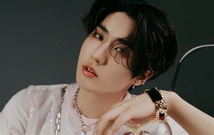 Han Jisung Net Worth: How Much Is Han Jisung Worth?