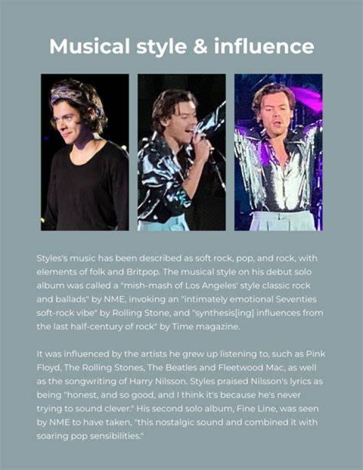 Harry Styles Biography, Age, Partner, Net Worth, Parents, Songs