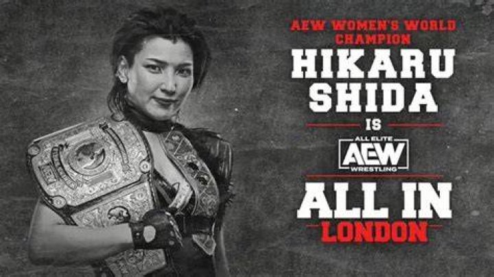 Hikaru Shida Husband: Is Hikaru Shida Married?