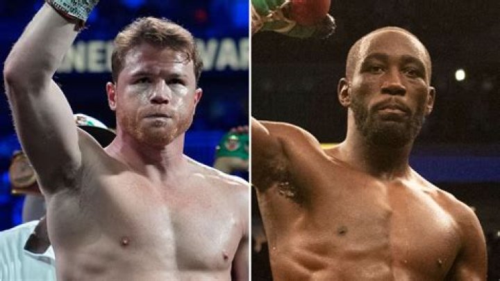 How many fights has Canelo Álvarez lost?