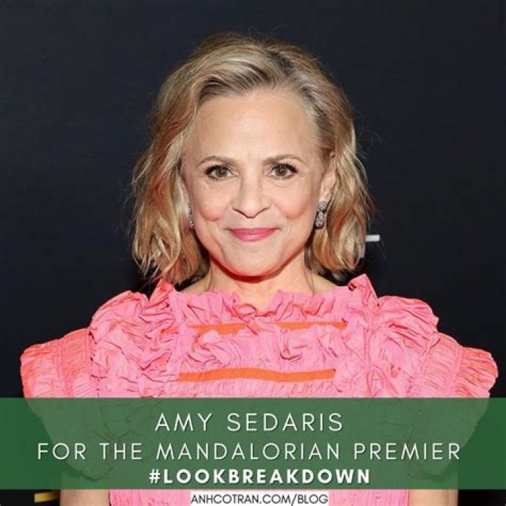 How much is Amy Sedaris's net worth in 2023