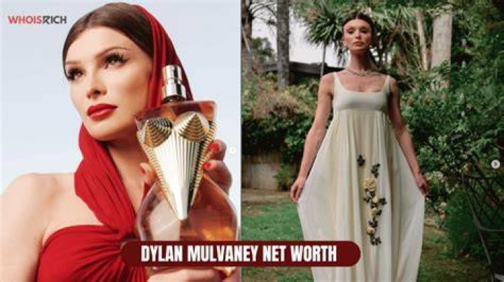 How much is Dylan Mulvaney Worth