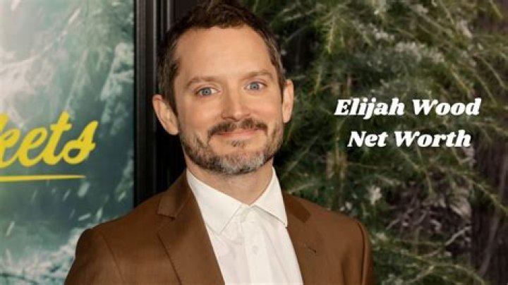 How Much Is Elijah Wood Worth?