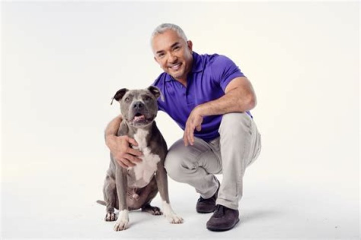How Rich is Cesar Millan: What is His Net Worth