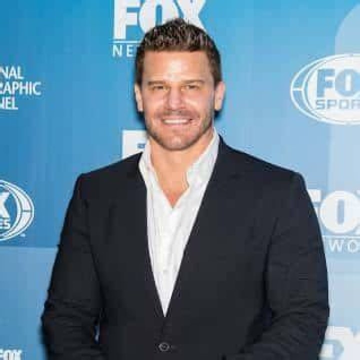 How rich is David Boreanaz: What is His Net Worth
