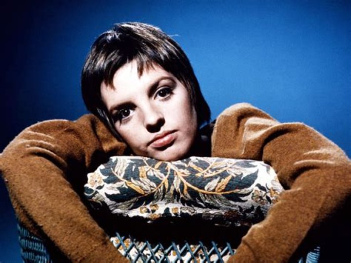 How rich is Liza Minnelli: What is His Net Worth