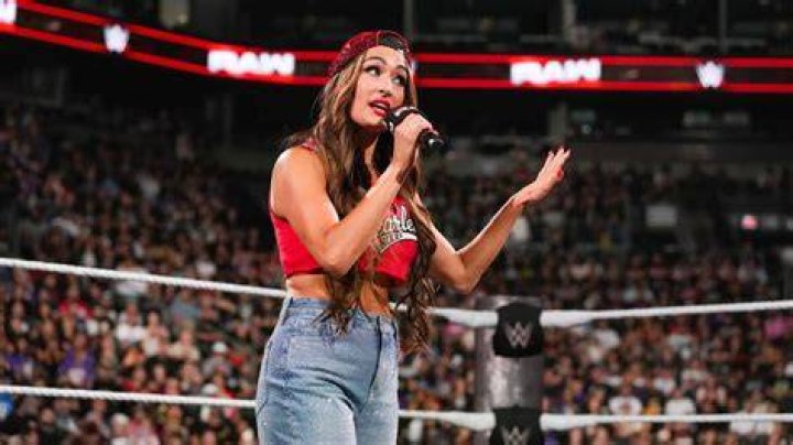 How rich is Nikki Bella: What is His Net Worth