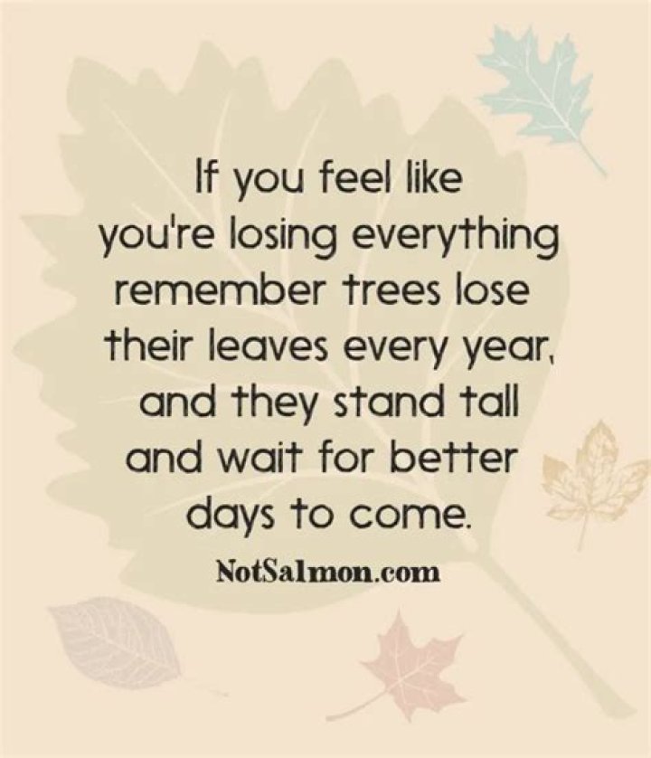 If You Feel Like You Are Losing Everything, Remember That Trees Loose Their Leaves Everyday and Still Stand Tall To Wait for Better Days To Come – Martha Ankomah