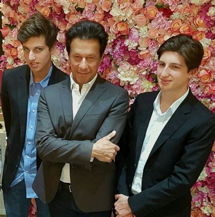 Imran Khan Children: Does Imran Khan Have Children?