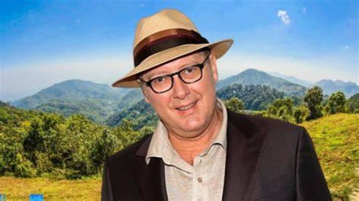 Inside The Life Of American actor James Spader: Biography, Net Worth & more