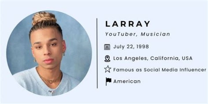 Inside The Life Of famous Youtuber Larray: Biography,Net....