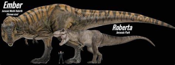 Is Amber Rex Dead: What Happened to Amber Rex?