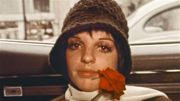 Is Liza Minnelli Still Alive? Bio, Age, Husband, And More
