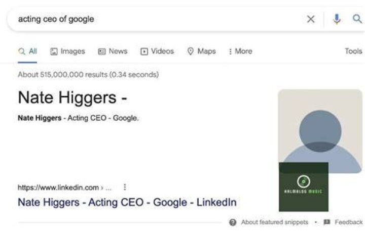 Is Nate Higgers Acting CEO Of Google? Why This Trending