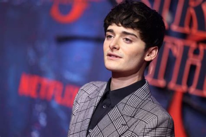 Is Noah Schnapp Dead? Who is Noah Schnapp?