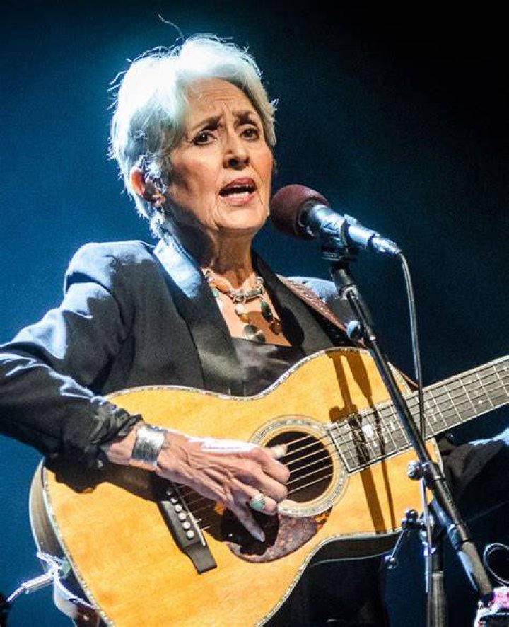 Joan Baez Children: Meet Gabriel Harris