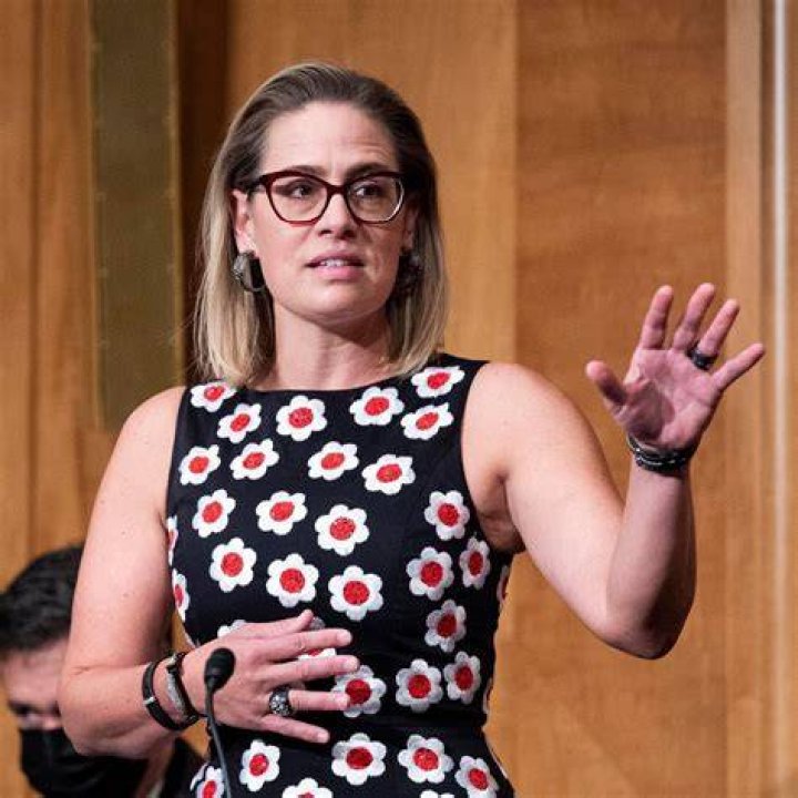 Kyrsten Sinema Children: Does Kyrsten Sinema Have Children?