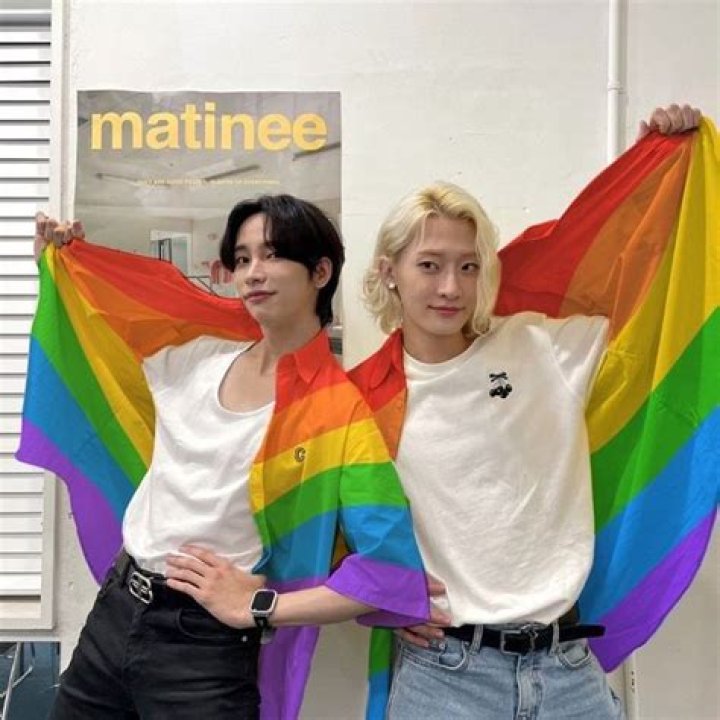 LGBTQ K-pop idols who have come out