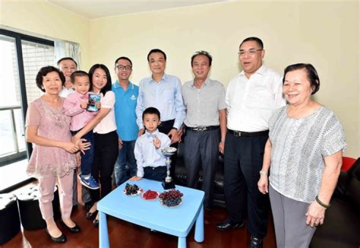 Li Keqiang Children: Does Li Keqiang Have A Child?
