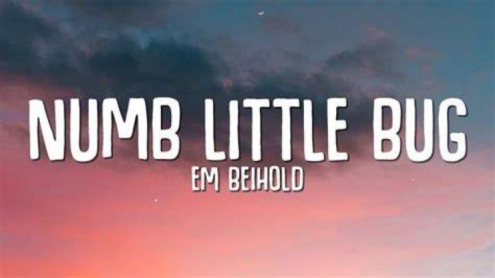 LYRICS: Em Beihold – Numb Little Bug